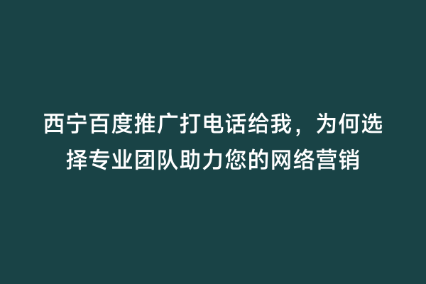 西宁百度推广打电话给我，为何选择专业团队助力您的网络营销