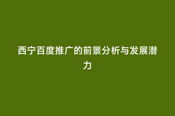 西宁百度推广的前景分析与发展潜力