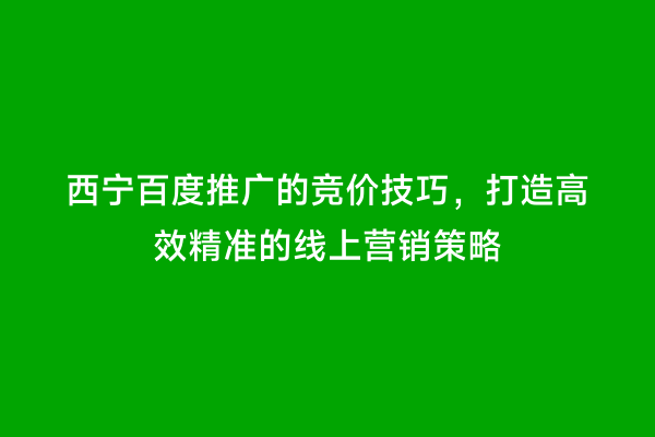 西宁百度推广的竞价技巧，打造高效精准的线上营销策略