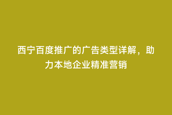 西宁百度推广的广告类型详解，助力本地企业精准营销
