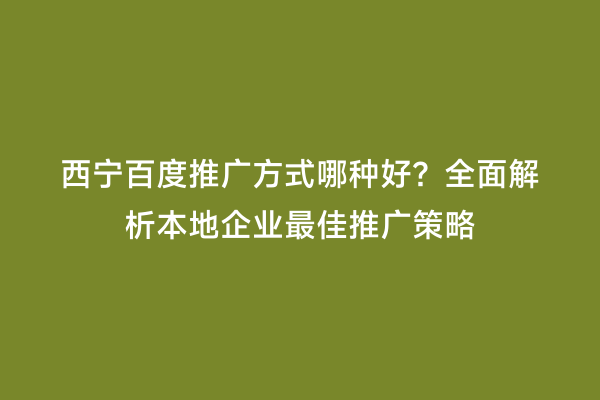西宁百度推广方式哪种好？全面解析本地企业最佳推广策略