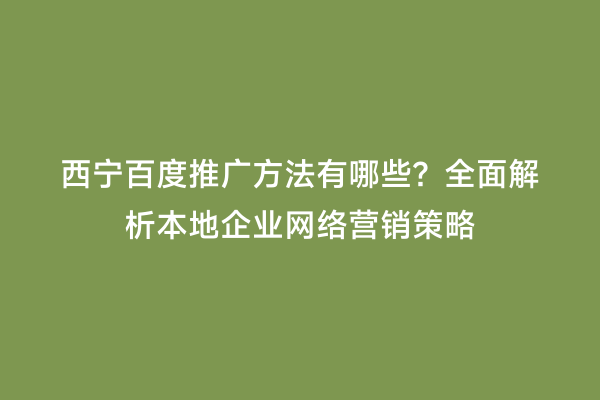 西宁百度推广方法有哪些？全面解析本地企业网络营销策略