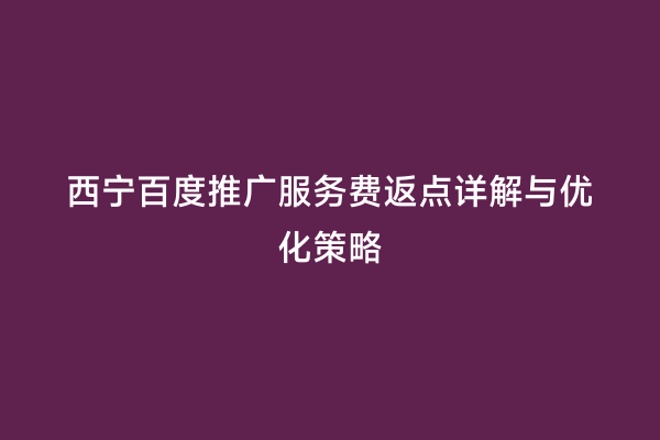 西宁百度推广服务费返点详解与优化策略