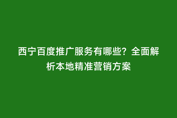 西宁百度推广服务有哪些？全面解析本地精准营销方案