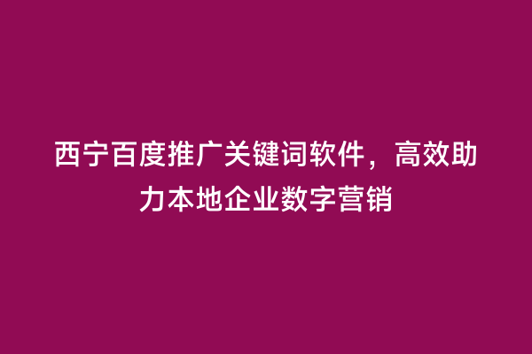 西宁百度推广关键词软件，高效助力本地企业数字营销