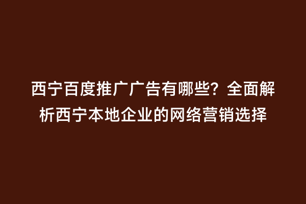西宁百度推广广告有哪些？全面解析西宁本地企业的网络营销选择